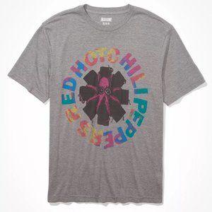 American Eagle Tailgate Men's Red Hot Chili Peppers Gray Graphic T-Shirt - Large